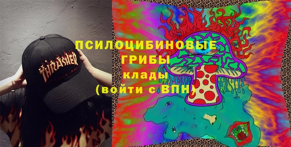соль курить ск Горно-Алтайск