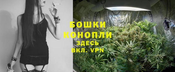 прущие грибы Чердынь